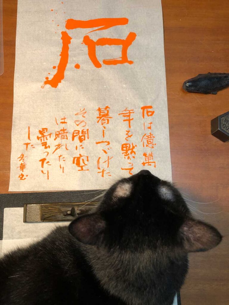 「石」とねこ