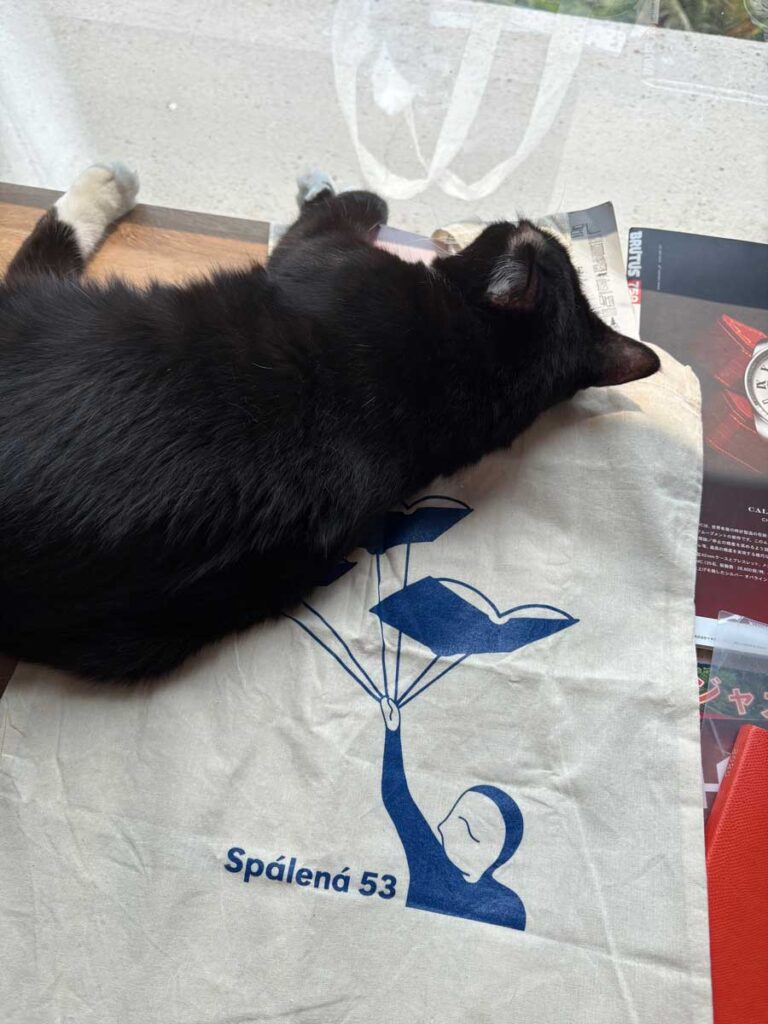 バッグを広げると、ねこが上で寝るのがお約束