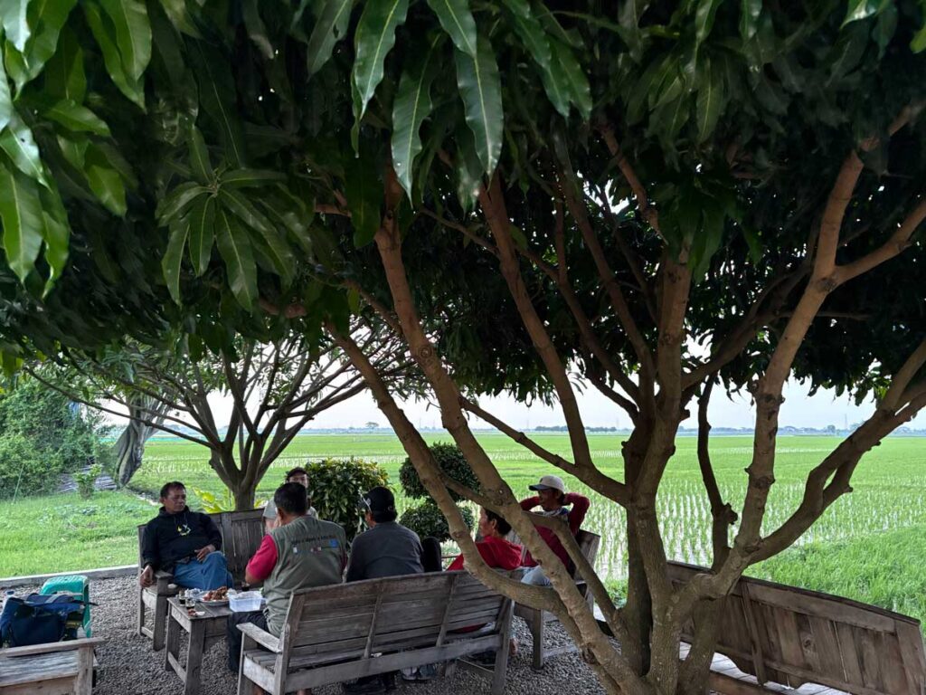 田んぼの前で宴会